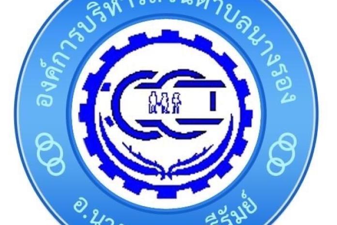 รายงานผลการตรวจสอบการเงินประจำปี 2567