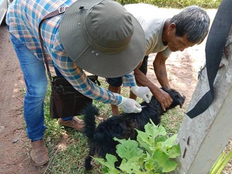 ลงพื้นที่ฉีดวัคซีนป้องกันและควบคุมโรคพิษสุนัขบ้า (บ้านตากแดด)