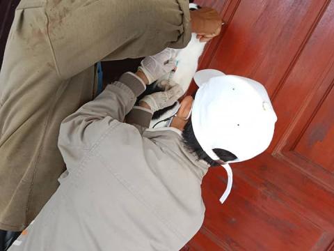 ลงพื้นที่ฉีดวัคซีนป้องกันและควบคุมโรคพิษสุนัขบ้า (บ้านตากแดด)