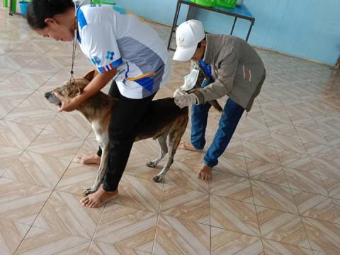 ลงพื้นที่ฉีดวัคซีนป้องกันและควบคุมโรคพิษสุนัขบ้า (บ้านตากแดด)