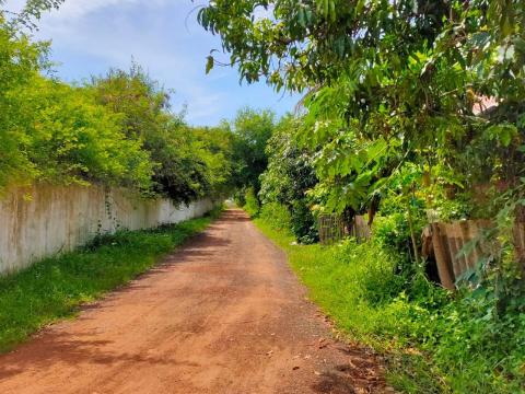 ลงพื้นที่ออกสำรวจและดูบริเวณพื้นที่ (หมู่ 3)