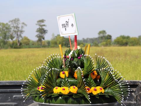 โครงการส่งเสริมประเพณีลอยกระทง ประจำปีงบประมาณ 2563