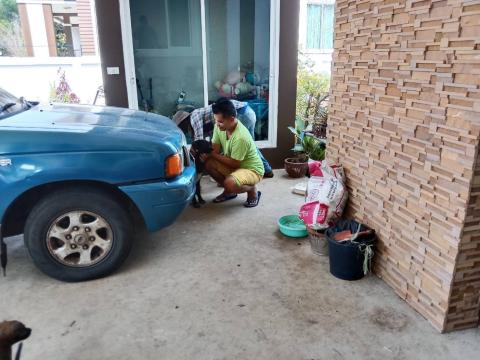 การฉีดวัคซีนป้องกันโรคพิษสุนัขบ้า หมู่ที่ 14