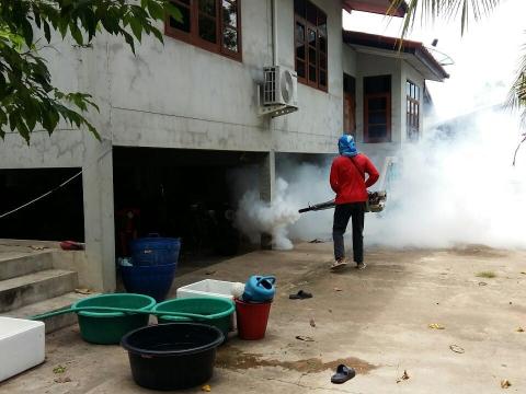 โครงการป้องกันและกำจัดโรคไข้เลือดออก