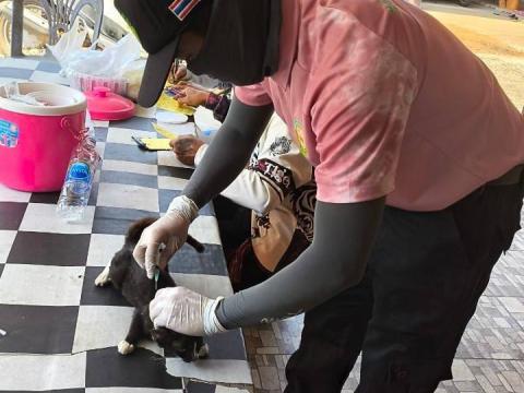 ออกดำเนินงานฉีดวัคซีนป้องกันและควบคุมโรคพิษสุนัขบ้า ณ บ้านแพงพวย หมู่ที่ 9 ตำบลนางรอง อำเภอนางรอง จังหวัดบุรีรัมย์