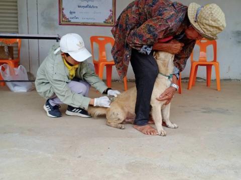 ออกฉีดวัคซีนป้องกันและควบคุมโรคพิษสุนัขบ้า ณ บ้านบัวตารุ้ง หมู่ที่6
