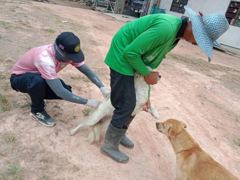 ออกฉีดวัคซีนป้องกันและควบคุมโรคพิษสุนัขบ้า ณ บ้านบัวตารุ้ง หมู่ที่6