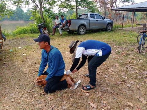 ออกฉีดวัคซีนป้องกันและควบคุมโรคพิษสุนัขบ้า ณ บ้านหนองตาโรง หมู่ที่ 10