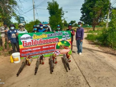 โครงการป้องกันและกำจัดโรคไข้เลือดออก ประจำปี 2563