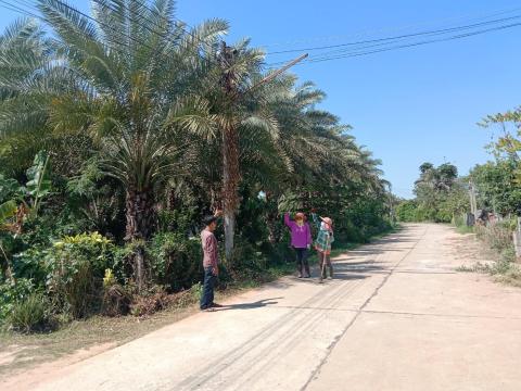 ออกสำรวจ จุดไฟฟ้าสาธารณะหมู่บ้าน ที่ชำรุดใช้การไม่ได้ หมู่ที่ 8,2,1,9,6,7,10,11 และหมู่ที่ 14