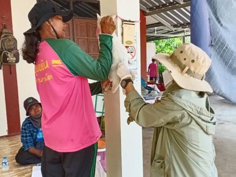 ฉีดวัคซีนป้องกันโรคพิษสุนัขบ้า ประจำปีงบประมาณ พ.ศ 2568