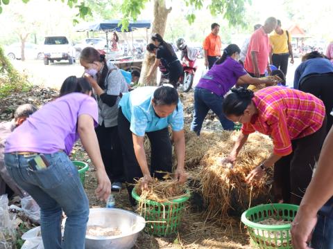 โครงการเกษตรอินทรีย์ วิถีชีวิตพอเพียง ประจำปีงบประมาณ 2569