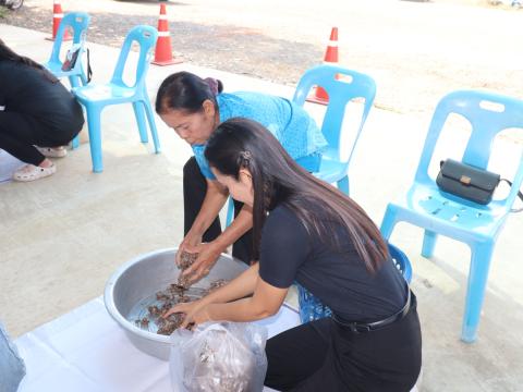 โครงการเกษตรอินทรีย์ วิถีชีวิตพอเพียง ประจำปีงบประมาณ 2569