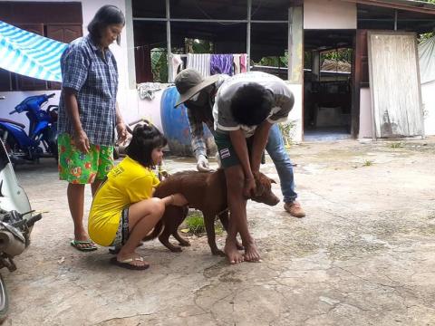 ลงพื้นที่ฉีดวัคซีนป้องกันและควบคุมโรคพิษสุนัขบ้า (บ้านหนองตาเข้ม)