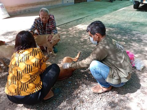 ลงพื้นที่ฉีดวัคซีนป้องกันและควบคุมโรคพิษสุนัขบ้า (บ้านหนองเสม็ดพัฒนา)