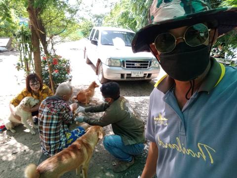 ลงพื้นที่ฉีดวัคซีนป้องกันและควบคุมโรคพิษสุนัขบ้า (บ้านหนองเสม็ดพัฒนา)