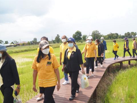 โครงการเกษตรอินทรีย์