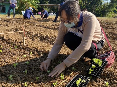 โครงการโรงเรียนพอเพียงท้องถิ่น “ปลูกผักรักษ์โลก”