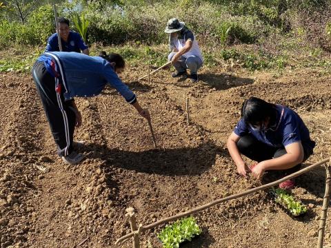 โครงการโรงเรียนพอเพียงท้องถิ่น “ปลูกผักรักษ์โลก”