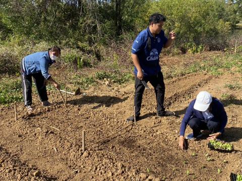 โครงการโรงเรียนพอเพียงท้องถิ่น “ปลูกผักรักษ์โลก”