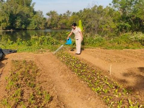 สังเกตการเจริญเติบโตครงการโรงเรียนพอเพียงท้องถิ่น