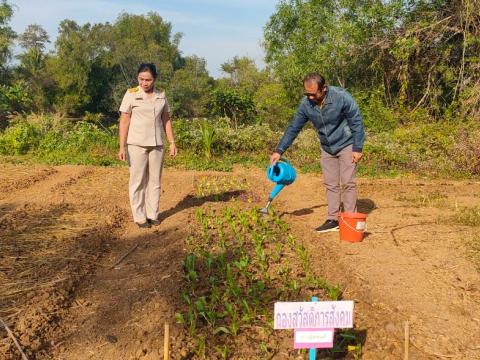 สังเกตการเจริญเติบโตครงการโรงเรียนพอเพียงท้องถิ่น