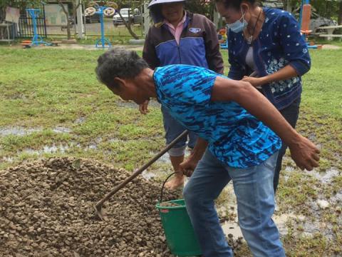 โครงการพัฒนาและส่งเสริมอาชีพเกษตรกรตำบลนางรอง