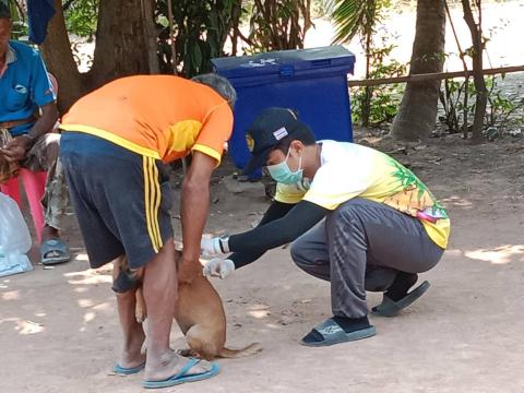 ออกดำเนินการฉีดวัคซีนป้องกันโรคพิษสุนัขบ้า