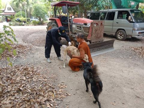 ฉีดวัคซีนป้องกันโรคพิษสุนัขบ้า