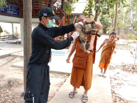 ฉีดวัคซีนป้องกันโรคพิษสุนัขบ้า