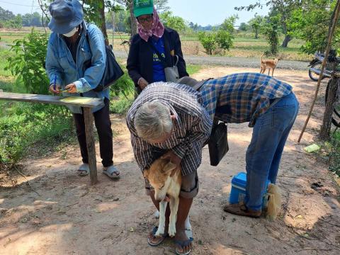 กิจกรรมฉีดวัคซีนป้องกันโรคพิษสุนัขบ้า