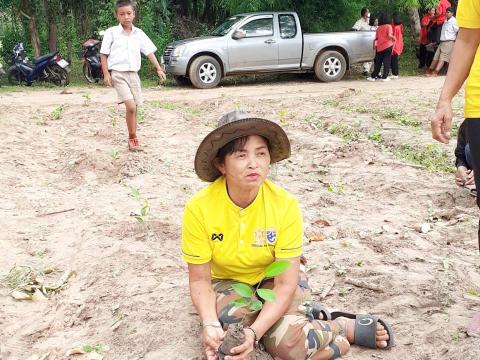 โครงการปลูกป่าเฉลิมพระเกียรติพระบาทสมเด็จพระเจ้าอยู่หัวรัชกาลที่ 10