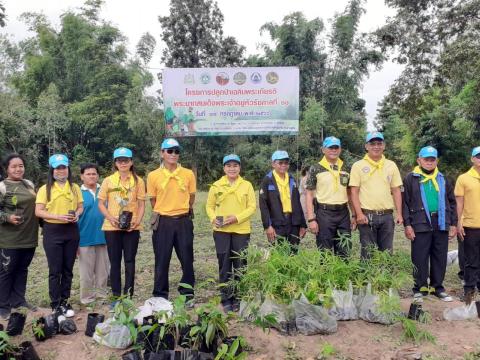 โครงการปลูกป่าเฉลิมพระเกียรติพระบาทสมเด็จพระเจ้าอยู่หัวรัชกาลที่ 10