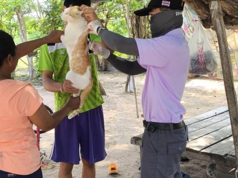 มอบหมายให้เจ้าหน้าที่กองสาธารณสุขและสิ่งแวดล้อมออกดำเนินงานฉีดวัคซีนป้องกันและควบคุมโรคพิษสุนัขบ้า