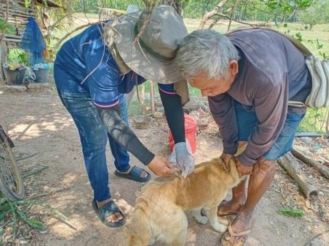 องค์การบริหารส่วนตำบลนางรอง ได้ออกดำเนินงานฉีดวัคซีนป้องกันและควบคุมโรคพิษสุนัขบ้า ประจำปีงบประมาณ 2567