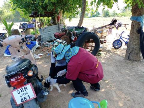 ออกดำเนินงานฉีดวัคซีนป้องกันและควบคุมโรคพิษสุนัขบ้า ณ บ้านแพงพวย หมู่ที่ 9 ตำบลนางรอง อำเภอนางรอง จังหวัดบุรีรัมย์