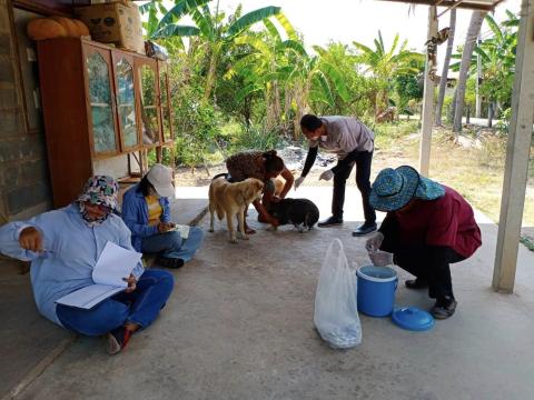 ออกดำเนินงานฉีดวัคซีนป้องกันและควบคุมโรคพิษสุนัขบ้า ณ บ้านแพงพวย หมู่ที่ 9 ตำบลนางรอง อำเภอนางรอง จังหวัดบุรีรัมย์