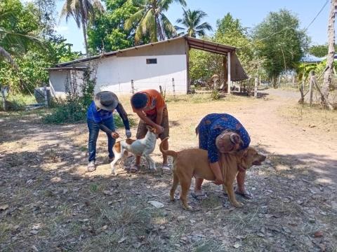 ออกดำเนินฉีดวัคซีนป้องกันและควบคุมโรคพิษสุนัขบ้า