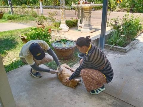 ออกดำเนินฉีดวัคซีนป้องกันและควบคุมโรคพิษสุนัขบ้า